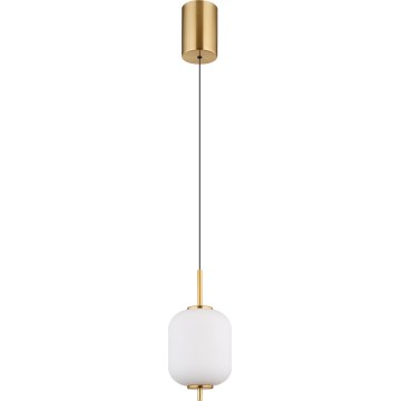 Globo - Lámpara LED colgante LED/7W/230V