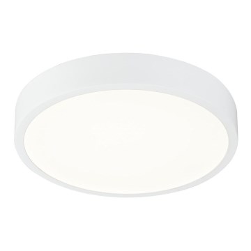 Globo - LED Lámpara del baño regulable LED/22W/230V IP44