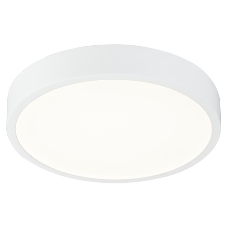 Globo - LED Lámpara del baño regulable LED/22W/230V IP44