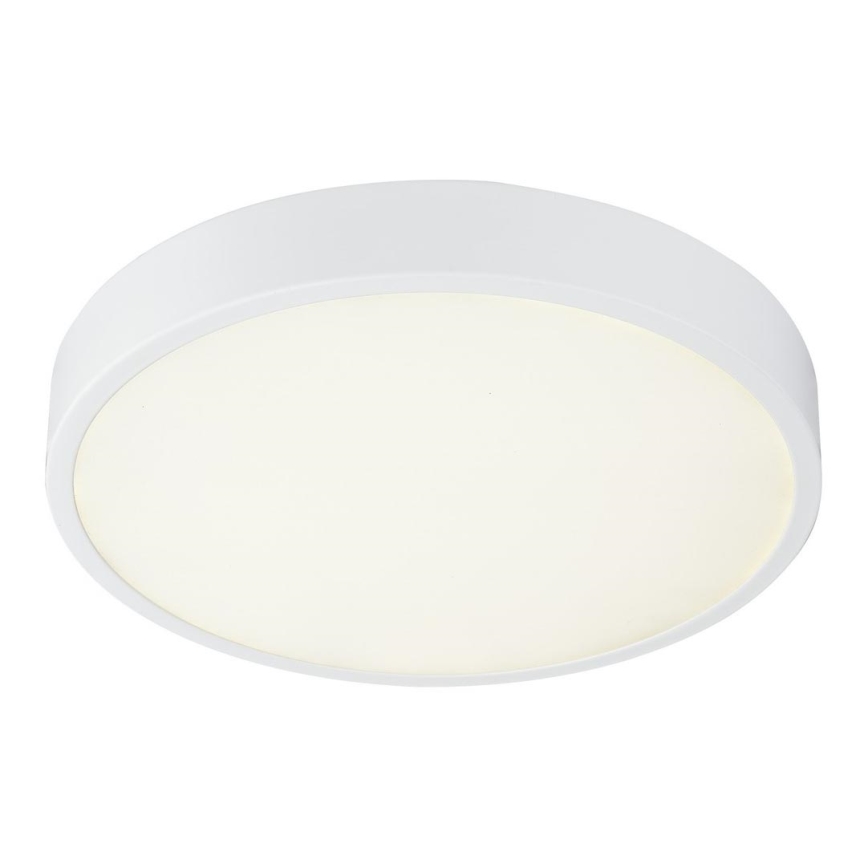 Globo - LED Lámpara del baño regulable LED/28W/230V IP44