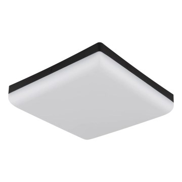 Globo - Plafón LED LED/12W/230V 4000K 22x22 cm negro