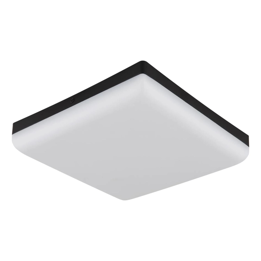 Globo - Plafón LED LED/12W/230V 4000K 22x22 cm negro