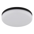 Globo - Plafón LED LED/12W/230V 4000K diá. 22 cm negro