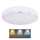 Globo - Plafón LED LED/24W/230V 3000/4000/6000K diá. 37,5 cm