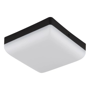 Globo - Plafón LED LED/8W/230V 4000K 12x12 cm negro