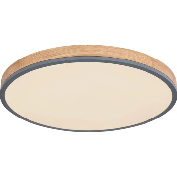 Globo - Plafón LED regulable LED/40W/230V 2700-6500K diá. 60 cm + control remoto marrón/gris