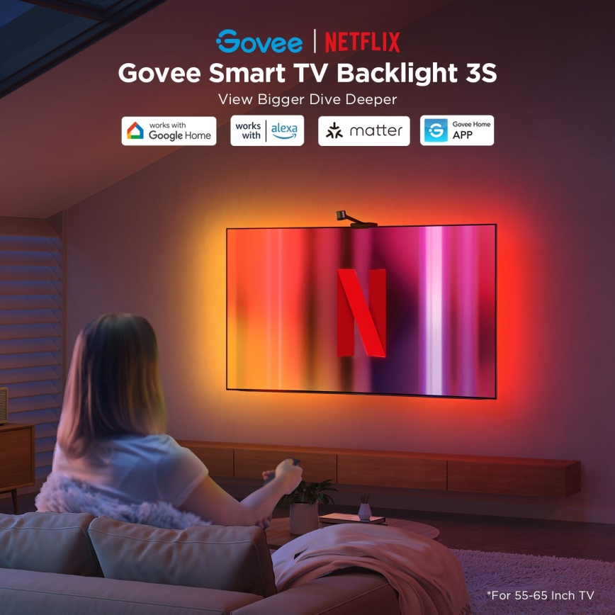 Govee - Iluminación trasera 3S Netflix TV 55-65" Iluminación LED SMART RGBICW Wi-Fi + control remoto
