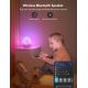 Govee - Luz nocturna LED inteligente RGBIC con altavoz Wi-Fi