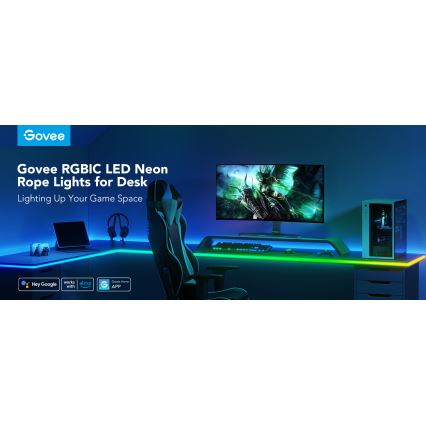 Govee - Neón LED retroiluminación de mesa 3m RGBIC Wi-Fi