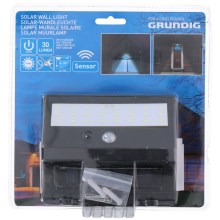 Grundig - Lámpara solar LED con sensor 1xLED/0,25W/1xAA