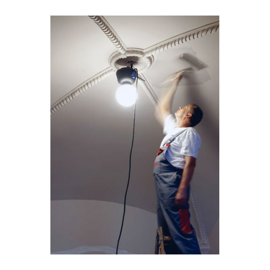 Helios 306-WLG223 - Iluminación LED técnica exterior WORK GLOBE 2 LED/23W/230V