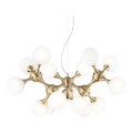 Ideal Lux - Lámpara colgante NODI 15xE14/28W/230V latón