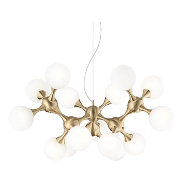 Ideal Lux - Lámpara colgante NODI 15xE14/28W/230V latón