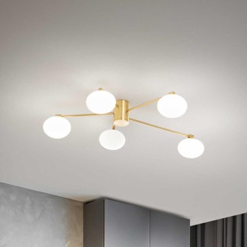 Ideal Lux - Lámpara de techo LED HERMES 5xG9/3W/230V diá. 90 cm dorado