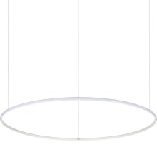 Ideal Lux - Lámpara LED colgante HULAHOOP LED/46W/230V diá. 100 cm blanco