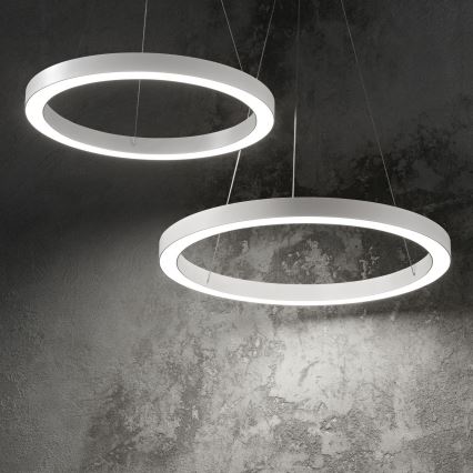 Ideal Lux - Lámpara LED colgante ORACLE LED/35W/230V 3000K diá. 70 cm CRI 90 blanco