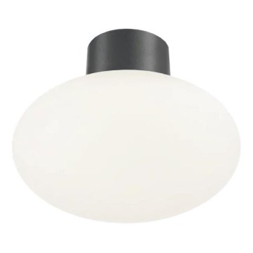 Ideal Lux - Plafón de exterior CLIO 1xE27/42W/230V IP44 antracita