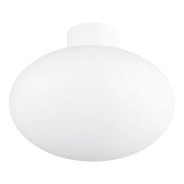 Ideal Lux - Plafón de exterior CLIO 1xE27/42W/230V IP44 blanco
