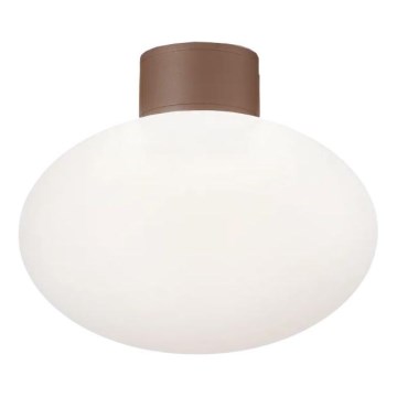 Ideal Lux - Plafón de exterior CLIO 1xE27/42W/230V IP44 marrón