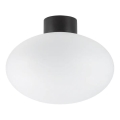 Ideal Lux - Plafón de exterior CLIO 1xE27/42W/230V IP44 negro