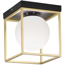 Ideal Lux - Plafón LINGOTTO 1xE14/40W/230V