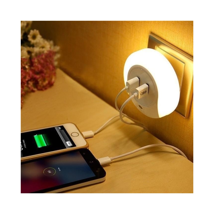 Cargador USB con retroiluminación LED/0,4W/230V