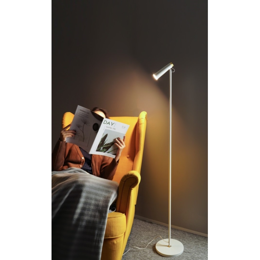 Lámpara de pie LED regulable TIT LED/6W/230V blanco