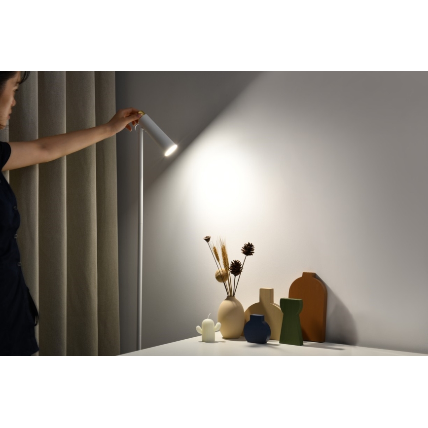 Lámpara de pie LED regulable TIT LED/6W/230V blanco