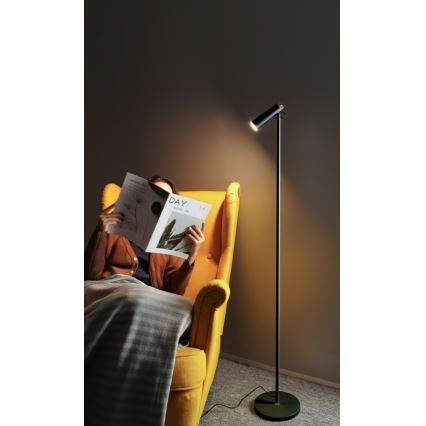 Lámpara de pie LED regulable TIT LED/6W/230V negro