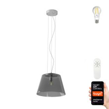 Immax NEO 07054L - Lámpara de araña LED regulable CONO 1xE27/8,5W/230V 32 cm Tuya