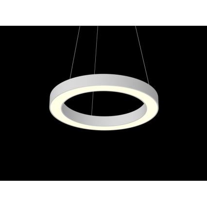 Immax NEO 07091L - LED Lámpara colgante regulable PASTEL LED/52W/230V 60 cm color blanco Tuya