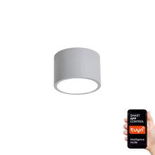 Immax NEO 07143-GR15X - Plafón LED regulable RONDATE LED/12W/230V Tuya gris