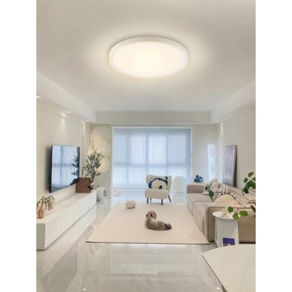 Immax NEO 07169-W60 - LED RGB+CCT Plafón con dimmer NEO LITE TUDO 65W/230V 2700-6500K Wi-Fi Tuya + control remoto blanco