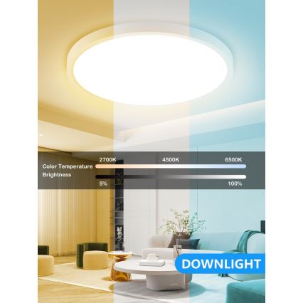 Immax NEO 07169-W60 - LED RGB+CCT Plafón con dimmer NEO LITE TUDO 65W/230V 2700-6500K Wi-Fi Tuya + control remoto blanco