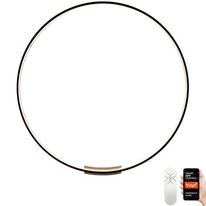 Immax NEO 07245-80 - Aplique LED regulable FINO LED/50W/230V 2700-6500K 80 cm Tuya + control remoto