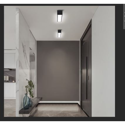 Immax NEO 07254L - Plafón LED regulable NEO LITE LUNGO LED/20W/230V 3000-6000K Wi-Fi Tuya negro + control remoto