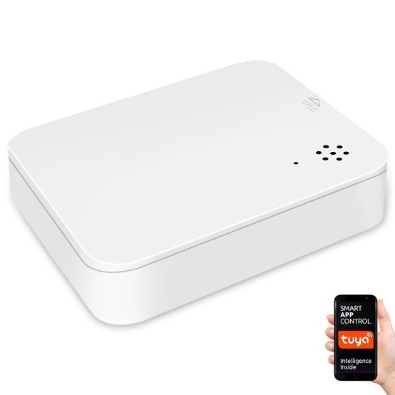 Immax NEO 07519L - Detector inteligente de fugas de agua 2xAAA Tuya