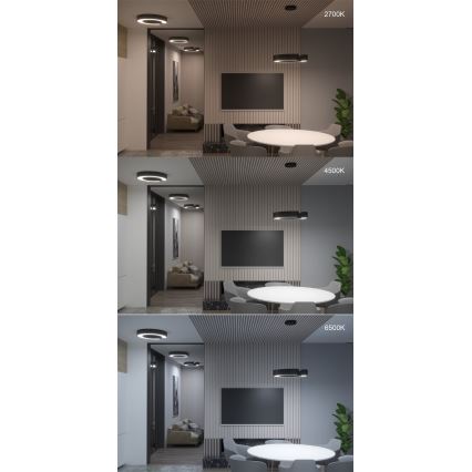 Immax NEO 7133 - LED SMART Plafón con dimmer CÉČKO LED/52W/230V + control remoto 60 cm Tuya ZigBee