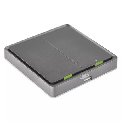 Interruptor 2 botones GoSmart 1xCR2430 Tuya negro