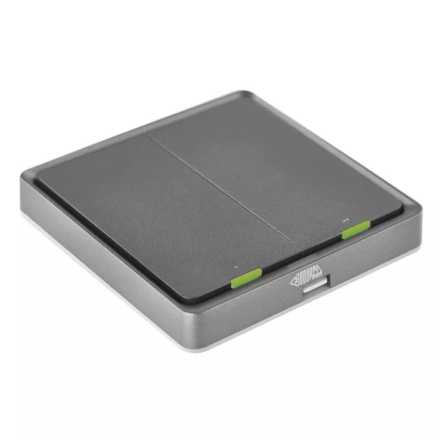 Interruptor 2 botones GoSmart 1xCR2430 Tuya negro