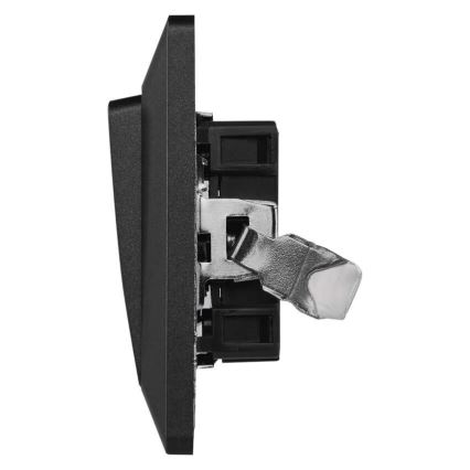 Interruptor doméstico de encendido 250V/10A antracita
