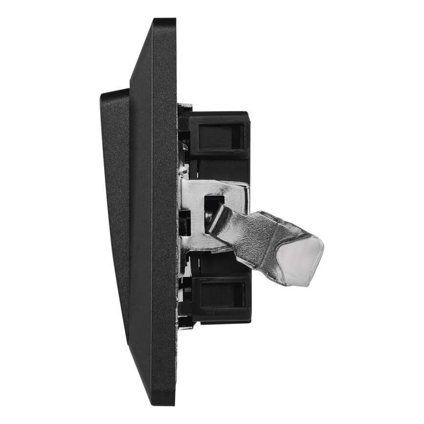 Interruptor doméstico de encendido 250V/10A antracita