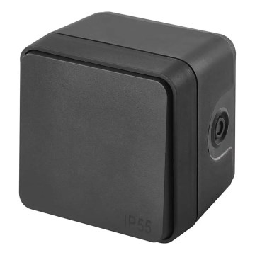 Interruptor doméstico de encendido 250V/10A IP55