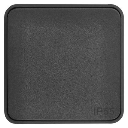 Interruptor doméstico de encendido 250V/10A IP55