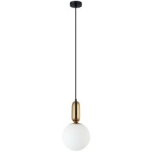 ITALUX - Lámpara colgante ALDEVA 1xE27/40W/230V diá. 20 cm negro/bronce