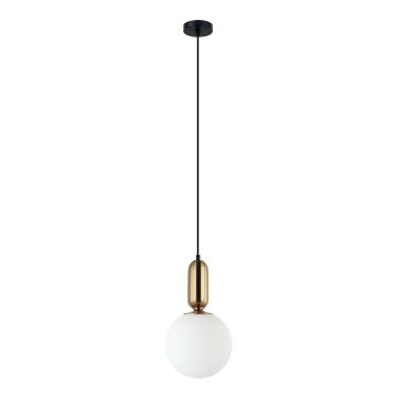 ITALUX - Lámpara colgante ALDEVA 1xE27/40W/230V diá. 20 cm negro/bronce