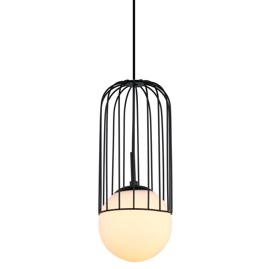 ITALUX - Lámpara colgante MATTY 1xE27/40W/230V diá. 15 cm negro