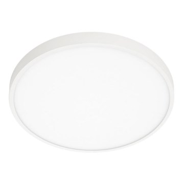 ITALUX - Plafón LED RIBERIO LED/30W/230V 3000K blanco