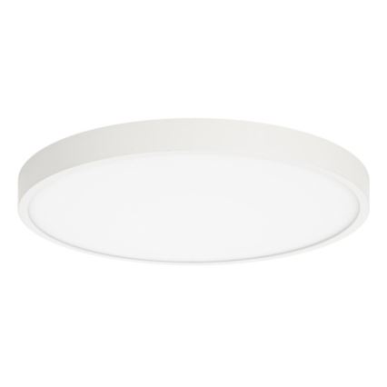 ITALUX - Plafón LED RIBERIO LED/30W/230V 3000K blanco