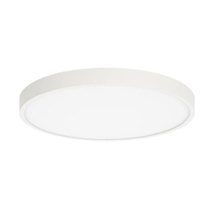 ITALUX - Plafón LED RIBERIO LED/30W/230V 4000K blanco